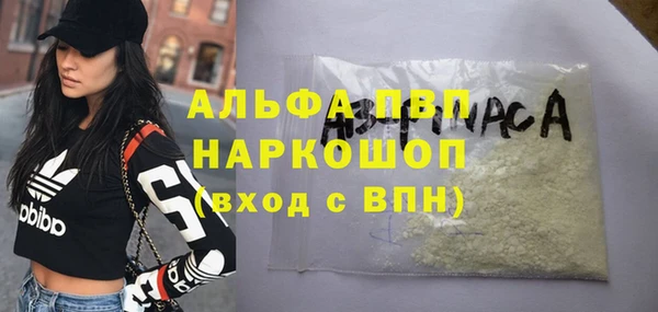 стаф Алексин