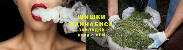 ПСИЛОЦИБИНОВЫЕ ГРИБЫ Алексеевка