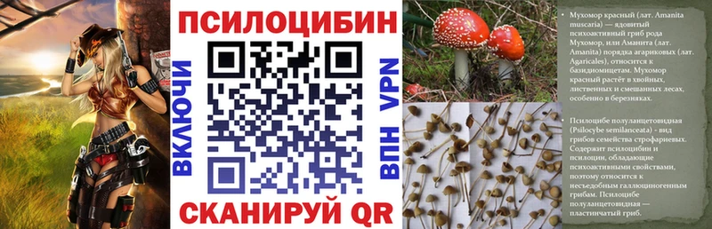 цена наркотик  Советский  Псилоцибиновые грибы Magic Shrooms 